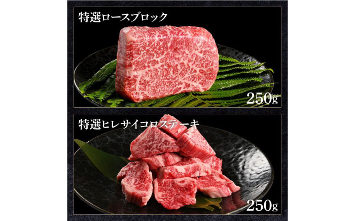 熟成肉 土佐和牛 詰め合わせ6種 【株式会社LATERAL】 [ATAY079]