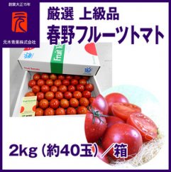 【先行予約】春野フルーツトマト 厳選 上級品 約2kg（約40玉） | 元木青果 ＜2025年2月中旬以降発送＞ 【グレイジア株式会社】 [ATAC346]