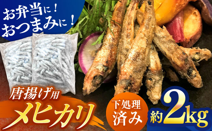 高知県産メヒカリ唐揚げ用 大容量約2kg 【アジアマリン有限会社】 [ATCM003]