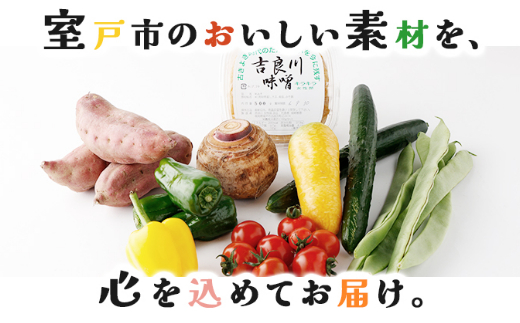  お味噌 (550g) 野菜 (8品) セット  詰め合わせ 旬 おまかせ 新鮮 やさい 味噌 みそ 吉良川みそ 調味料 高知県 室戸市 5000円 送料無料