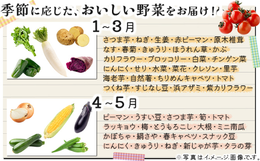  お味噌 (550g) 野菜 (8品) セット  詰め合わせ 旬 おまかせ 新鮮 やさい 味噌 みそ 吉良川みそ 調味料 高知県 室戸市 5000円 送料無料