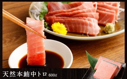 3回定期便】海からの贈り物！マグロとカツオの定期便 まぐろ カツオの