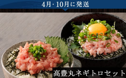 【5回定期便】海からの贈り物！マグロとカツオのお楽しみセット まぐろ カツオのたたき ネギトロ  刺身 海産物 魚介類 鮪 まぐろたたき 鰹 魚 高知県 海鮮 冷凍 コロナ 緊急支援品 訳あり 不揃い 傷 規格外 故郷納税 10万円 送料無料