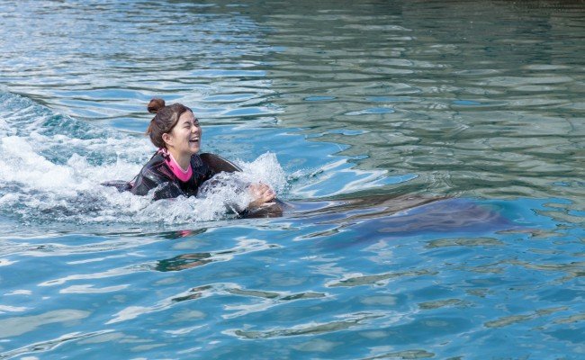 ドルフィンスイム２名（５歳以上小学生）