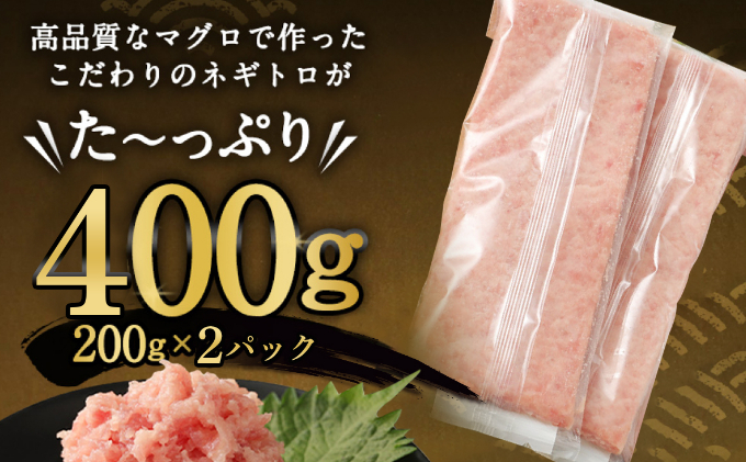 【交互定期便 / ４ヶ月連続】 土佐流藁焼きかつおのたたき２節と高豊丸ネギトロ６００ｇ  魚介類 海産物 カツオ 鰹 わら焼き 高知 海鮮 冷凍 家庭用 訳あり 不揃い  連続 藁焼き かつおのたたき かつお タタキ まぐろ 鮪 マグロ ネギトロ ねぎとろ