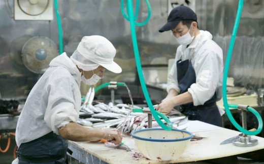 トロカマス干物セット（室戸海洋深層水仕込）＜脂ののったかます詰合せ＞