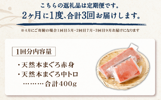 【 定期便 全３回 隔月 お届け 】まぐろの王様！天然本まぐろ味わいセット ２カ月に１回　合計３回  サク 柵 スライス 切落し セット 天然 天然まぐろ 天然マグロ まぐろ 鮪 刺身 お刺身 食べ比べ  高知 室戸 冷凍 小分け 便利 39,000円 送料無料