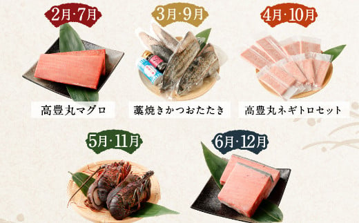 【5回定期便】海からの贈り物！マグロとカツオのお楽しみセット まぐろ カツオのたたき ネギトロ  刺身 海産物 魚介類 鮪 まぐろたたき 鰹 魚 高知県 海鮮 冷凍 コロナ 緊急支援品 訳あり 不揃い 傷 規格外 故郷納税 10万円 送料無料