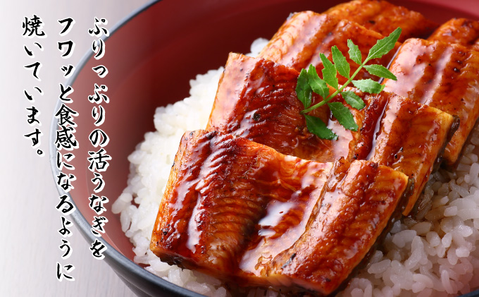 うなぎ蒲焼き 白焼き セット 2種類 各1本(約190g〜220g) 合計2本 タレ・わさび・醤油付き ウナギ 鰻 初音 国産 高知県産 魚 魚介類 冷凍 送料無料