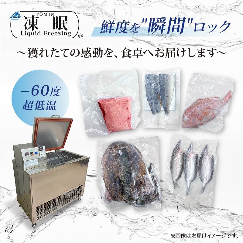 伊勢海老 冷凍 2kg いせえび 海老 えび エビ イセエビ 冬眠冷凍 家庭用 海鮮 鮮度 産地直送 漁師直送 刺し身 味噌汁 だし ふるさと納税 高知県 室戸市