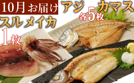 室戸流藁焼きタタキと地魚干物定期便B（年６回・偶数月お届け）