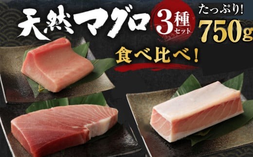 船元が直送! 厳選 天然 マグロ 3種 750g以上 | ミナミマグロ鮪250g メバチ鮪250g ビンチョウ鮪400g 南 目鉢 鬢長 セット まぐろ 食べ比べ みなみまぐろ めばちまぐろ びんちょうまぐろ ワケアリ わけあり 訳あり 刺身 さしみ 刺し身 冷凍 漬け 海鮮 丼 父の日 高知県 室戸市