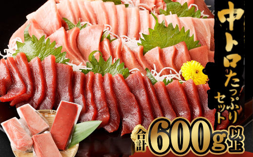 船元が直送! 厳選 天然 本マグロ 中トロたっぷりセット 約600g | 中トロ 400g 赤身 200g | 本鮪 本まぐろ クロマグロ 魚 惣菜 まぐろ ワケアリ わけあり 訳あり 中とろ あかみ 刺身 さしみ 刺し身 冷凍 漬け 海鮮 丼 父の日 高知県 室戸市