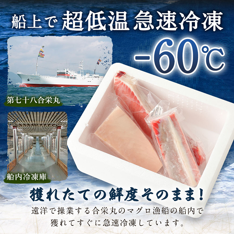 船元が直送! 厳選 天然 マグロ 3種 750g以上 | ミナミマグロ鮪250g メバチ鮪250g ビンチョウ鮪400g 南 目鉢 鬢長 セット まぐろ 食べ比べ みなみまぐろ めばちまぐろ びんちょうまぐろ ワケアリ わけあり 訳あり 刺身 さしみ 刺し身 冷凍 漬け 海鮮 丼 父の日 高知県 室戸市