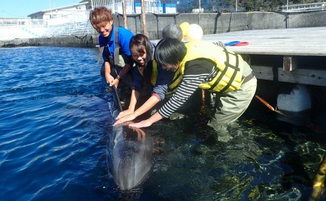 浅瀬ふれあい体験２名（５歳以上小学生）