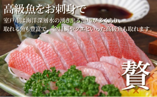 ã»ããšã«ããããïŒå®€æžã®ãåºèº«ãïŒïœïŒçš®çãåãããæ¥œãã¿ã»ãã2人å åºèº« åºèº«çãåãã æ¬ã®é®®é é«ç¥çç£ é®®é æµ·é®®äžŒ 挬ã䞌 å¯¿åž æ£è 10000å