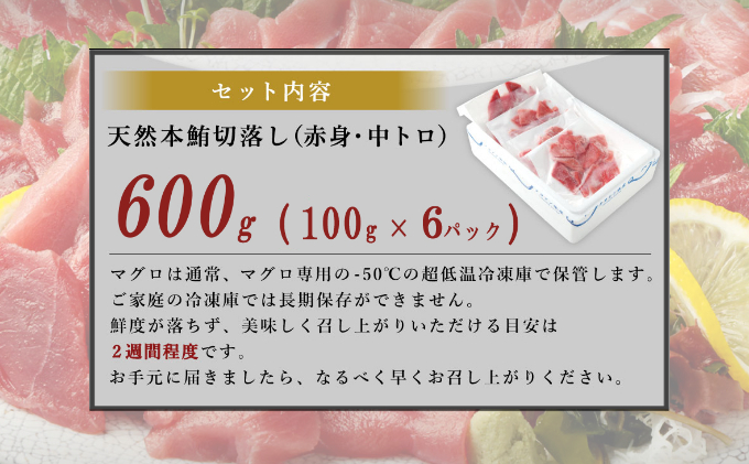  天然本マグロ ( 中トロ ・ 赤身 ) 切落とし 600g (100g×6パック) マグロ 刺身  魚 惣菜 海鮮丼 魚介類 食べきりサイズ 小分け 冷凍 訳あり 不揃い 15000円 送料無料