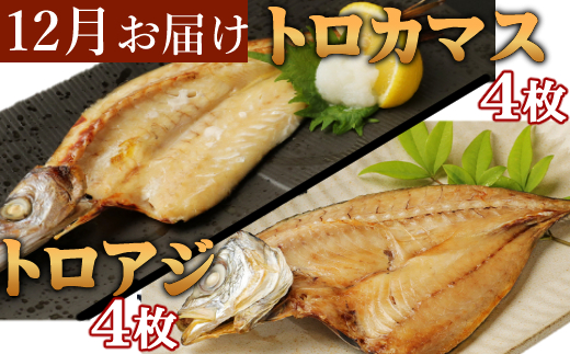 室戸流藁焼きタタキと地魚干物定期便B（年６回・偶数月お届け）