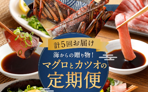 【5回定期便】海からの贈り物！マグロとカツオのお楽しみセット まぐろ カツオのたたき ネギトロ  刺身 海産物 魚介類 鮪 まぐろたたき 鰹 魚 高知県 海鮮 冷凍 コロナ 緊急支援品 訳あり 不揃い 傷 規格外 故郷納税 10万円 送料無料