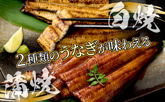 うなぎ蒲焼き 白焼き セット 2種類 各1本(約190g〜220g) 合計2本 タレ・わさび・醤油付き ウナギ 鰻 初音 国産 高知県産 魚 魚介類 冷凍 送料無料