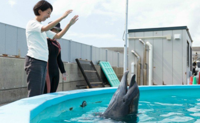 トレーナー体験２名（中学生以上）