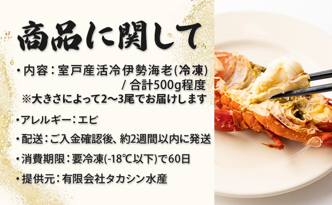 室戸産活冷伊勢海老【２〜３尾】＜室戸獲れイセエビ＞