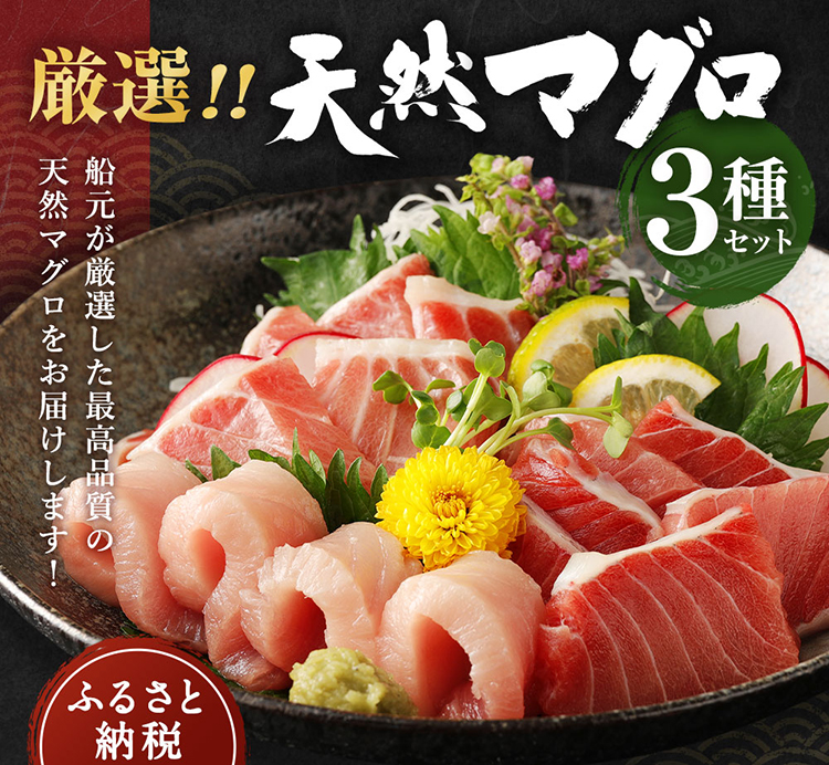 船元が直送! 厳選 天然 マグロ 3種 750g以上 | ミナミマグロ鮪250g メバチ鮪250g ビンチョウ鮪400g 南 目鉢 鬢長 セット まぐろ 食べ比べ みなみまぐろ めばちまぐろ びんちょうまぐろ ワケアリ わけあり 訳あり 刺身 さしみ 刺し身 冷凍 漬け 海鮮 丼 父の日 高知県 室戸市