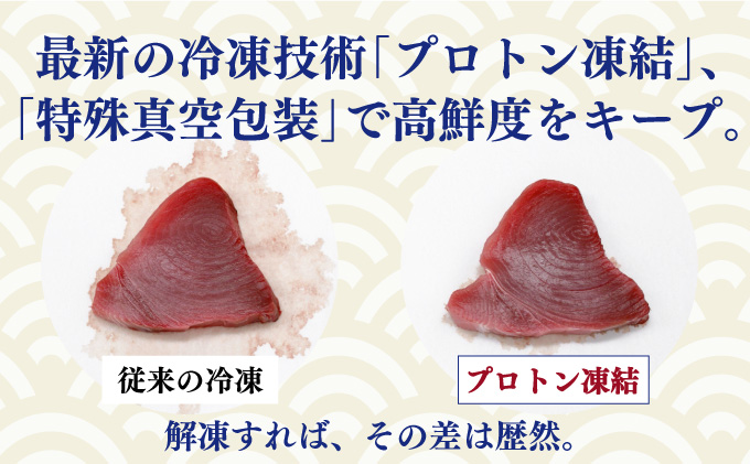天然本まぐろ 赤身 中トロ 切落し お手軽 ちょこっとパック 合計600g 食べきりサイズ 切り落とし お刺身 魚介類 海鮮 小分け 魚 海産物 魚貝 マグロ 父の日 高知県 簡単解凍 簡単調理 惣菜 冷凍