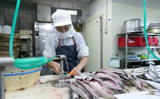トロカマス干物セット（室戸海洋深層水仕込）＜脂ののったかます詰合せ＞