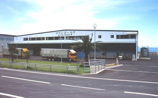 海のミネラル飲んでみいやぁ〜〜セット