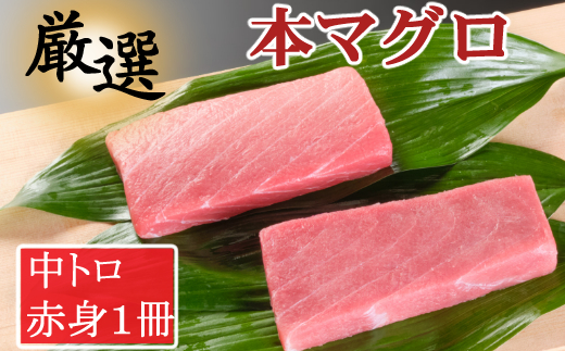厳選本マグロ赤身、中トロ食べくらべ【誉丸】