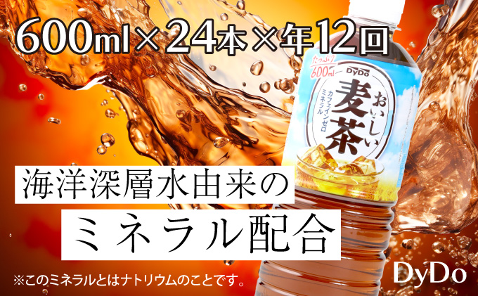 【年12回定期便】DyDo ダイドー おいしい麦茶 合計288本 600ml×24本×12回 麦茶 むぎ茶 カフェインゼロ お茶 飲料水 ペットボトル ドリンク 定期便 12ヶ月 送料無料