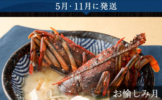 【5回定期便】海からの贈り物！マグロとカツオのお楽しみセット まぐろ カツオのたたき ネギトロ  刺身 海産物 魚介類 鮪 まぐろたたき 鰹 魚 高知県 海鮮 冷凍 コロナ 緊急支援品 訳あり 不揃い 傷 規格外 故郷納税 10万円 送料無料