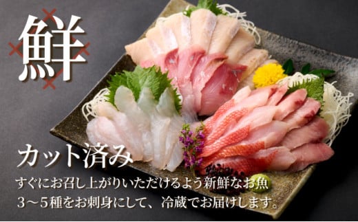 ã»ããšã«ããããïŒå®€æžã®ãåºèº«ãïŒïœïŒçš®çãåãããæ¥œãã¿ã»ãã2人å åºèº« åºèº«çãåãã æ¬ã®é®®é é«ç¥çç£ é®®é æµ·é®®äžŒ 挬ã䞌 å¯¿åž æ£è 10000å