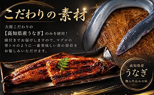 70幎ç¶ãè¶³ãã®ç§äŒã®ããïŒåé³ã®å³éžé«ç¥çç£ããªãè²çŒã5å°Ÿ  åœç£ ãŠãã® é°» ããªã è²çŒã ç§äŒã®ã¿ã¬ åçšã®äžã®æ¥