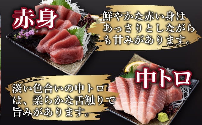 ã 倩ç¶ãŸãã ã äžãã 赀身 æµ èš1.3kgä»¥äž ãµã¯ ãã å€©ç¶ ãã°ã¡ ãã°ã 鮪 ãŸãã 100% å·å åºèº« æµ·é®® 䞌 åºã身 å°åã é«ç¥ 宀æž