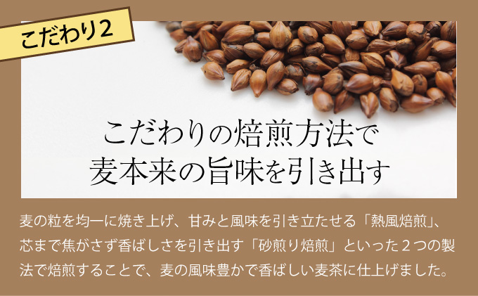 【年12回定期便】DyDo ダイドー おいしい麦茶 合計288本 600ml×24本×12回 麦茶 むぎ茶 カフェインゼロ お茶 飲料水 ペットボトル ドリンク 定期便 12ヶ月 送料無料