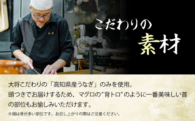 うなぎ蒲焼き 白焼き セット 2種類 各1本(約190g〜220g) 合計2本 タレ・わさび・醤油付き ウナギ 鰻 初音 国産 高知県産 魚 魚介類 冷凍 送料無料