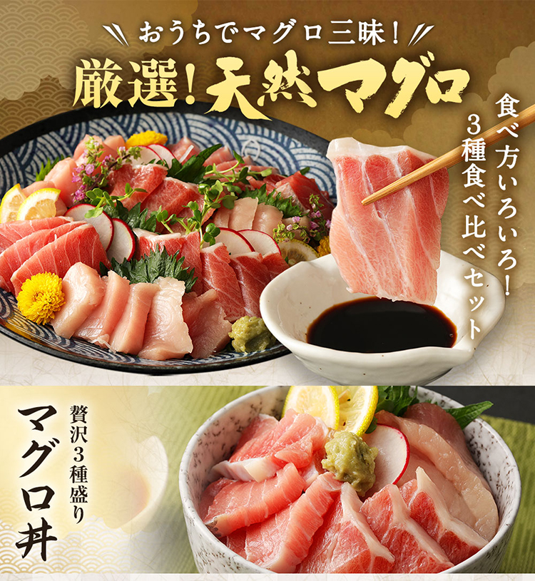 船元が直送! 厳選 天然 マグロ 3種 750g以上 | ミナミマグロ鮪250g メバチ鮪250g ビンチョウ鮪400g 南 目鉢 鬢長 セット まぐろ 食べ比べ みなみまぐろ めばちまぐろ びんちょうまぐろ ワケアリ わけあり 訳あり 刺身 さしみ 刺し身 冷凍 漬け 海鮮 丼 父の日 高知県 室戸市