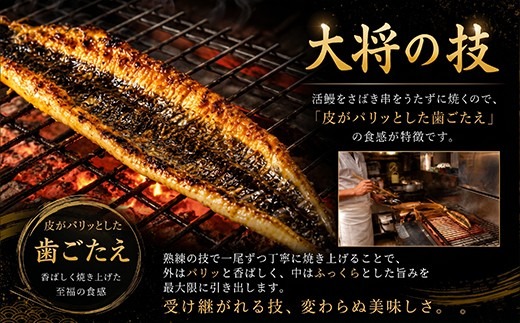 【定期便2回】70年継ぎ足しの秘伝のたれ！初音の厳選高知県産うなぎ蒲焼き1尾 ＿ 国産 ウナギ 鰻 うなぎ 蒲焼き 秘伝のタレ 土用の丑の日