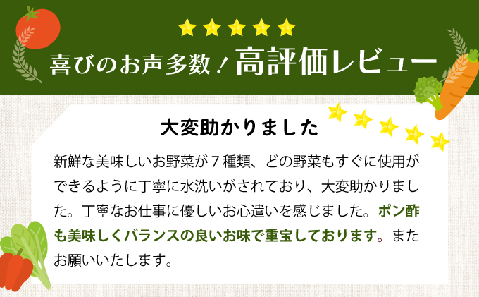 野菜 7種類 詰め合わせセット(特製ポン酢付) 新鮮 旬 春 おまかせ 5000円 故郷納税 送料無料