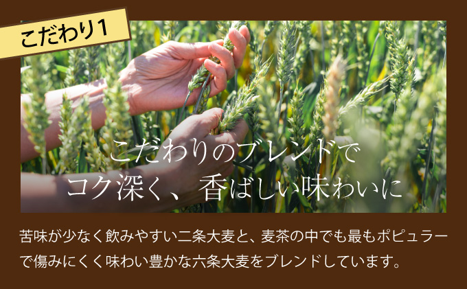 【年12回定期便】DyDo ダイドー おいしい麦茶 合計288本 600ml×24本×12回 麦茶 むぎ茶 カフェインゼロ お茶 飲料水 ペットボトル ドリンク 定期便 12ヶ月 送料無料