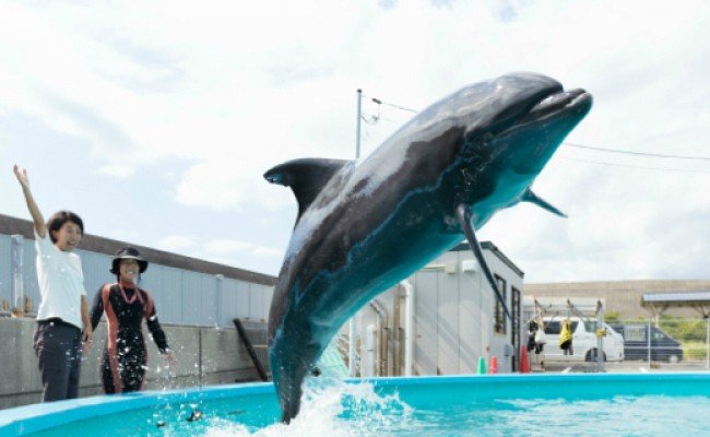 トレーナー体験２名（中学生以上）