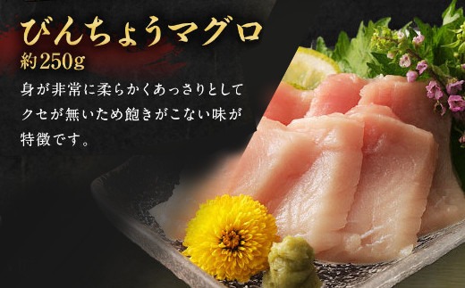 船元が直送! 厳選 天然 マグロ 3種 750g以上 | ミナミマグロ鮪250g メバチ鮪250g ビンチョウ鮪400g 南 目鉢 鬢長 セット まぐろ 食べ比べ みなみまぐろ めばちまぐろ びんちょうまぐろ ワケアリ わけあり 訳あり 刺身 さしみ 刺し身 冷凍 漬け 海鮮 丼 父の日 高知県 室戸市