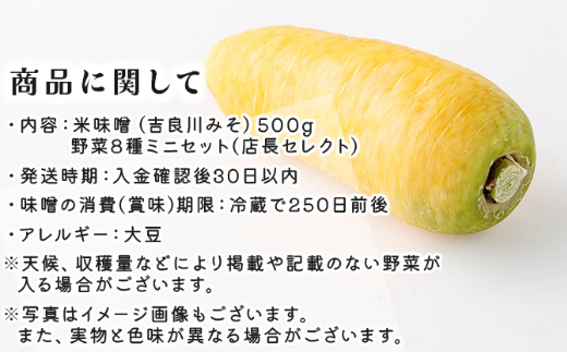  お味噌 (550g) 野菜 (8品) セット  詰め合わせ 旬 おまかせ 新鮮 やさい 味噌 みそ 吉良川みそ 調味料 高知県 室戸市 5000円 送料無料
