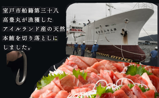 【 6回定期便 】 高豊丸 天然本マグロ 赤身 中とろ 切り落とし 400g (100g×4パック) | マグロ 刺身 刺し身 魚 惣菜 海鮮丼 魚介類 食べきりサイズ 小分け 冷凍 訳あり 不揃い 傷 規格外 