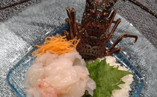 【 捌き方レシピ ・ 軍手付き 】活きイセエビ漁師直送！！1.5㎏以上（2～4尾、3～4人前）伊勢エビ 伊勢海老 えび 産地直送 送料無料 エビフライ 刺身 豊栄丸 高知県 室戸市