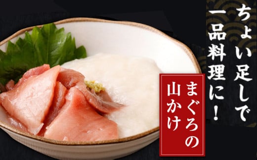 天然本まぐろ 赤身 中トロ 切落し お手軽 ちょこっとパック 合計600g 食べきりサイズ 切り落とし お刺身 魚介類 海鮮 小分け 魚 海産物 魚貝 マグロ 父の日 高知県 簡単解凍 簡単調理 惣菜 冷凍