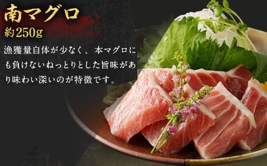 船元が直送! 厳選 天然 マグロ 3種 750g以上 | ミナミマグロ鮪250g メバチ鮪250g ビンチョウ鮪400g 南 目鉢 鬢長 セット まぐろ 食べ比べ みなみまぐろ めばちまぐろ びんちょうまぐろ ワケアリ わけあり 訳あり 刺身 さしみ 刺し身 冷凍 漬け 海鮮 丼 父の日 高知県 室戸市