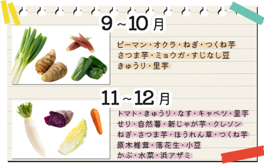  お味噌 (550g) 野菜 (8品) セット  詰め合わせ 旬 おまかせ 新鮮 やさい 味噌 みそ 吉良川みそ 調味料 高知県 室戸市 5000円 送料無料